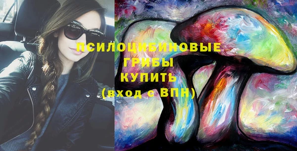 тгк Магас