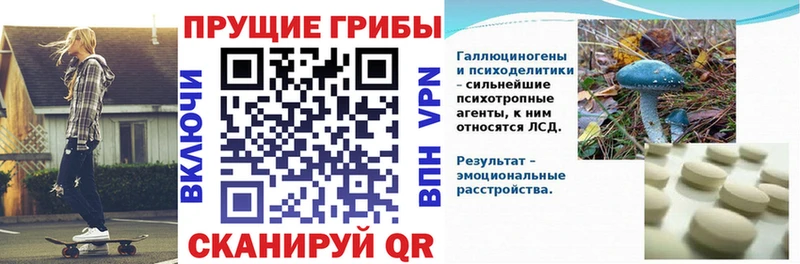 Псилоцибиновые грибы мицелий  Дзержинск 