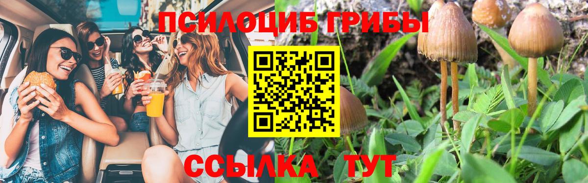 Дзержинск  Галлюциногенные грибы Magic Shrooms  наркотики  Вход с VPN 